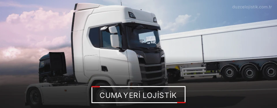 Cumayeri Lojistik Kargo