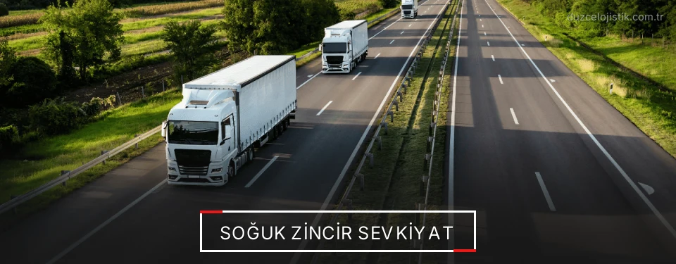 Düzce Soğuk Zincir Sevkiyat Çözümleri