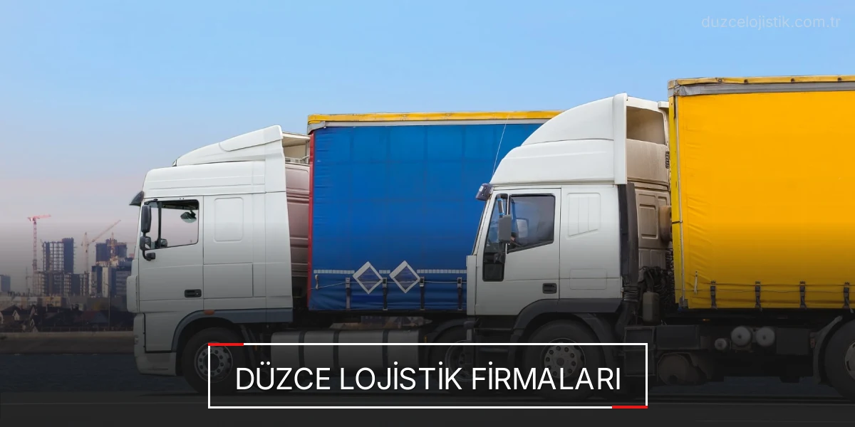 İstanbul Düzce Lojistik Hızlı Teslimat ve Güvenli Depolama